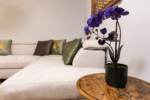 Happy People 2 BD, Central Plovdiv 32 Flat Manager Booking