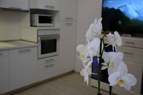 Unbeatable Location: New Lux Apartment Varna beach 37 Flat Manager Booking
