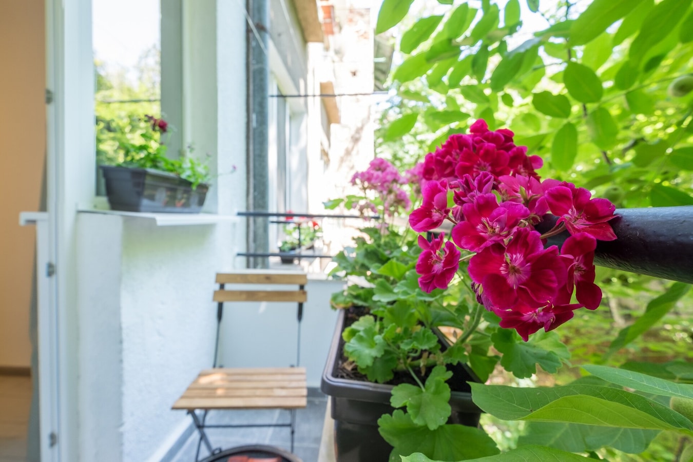 Vitosha Str Apt - Your Perfect Place to Stay 28 Flat Manager Booking