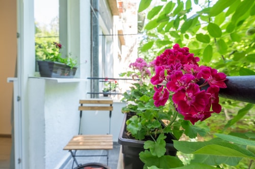Vitosha Str Apt - Your Perfect Place to Stay 28 Flat Manager Booking
