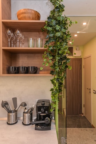 Vlado Ekzarh Yosif 2 · ☼ Sofia Dream Apartments ☼ - Jungle 1BDR 13 Flat Manager Booking