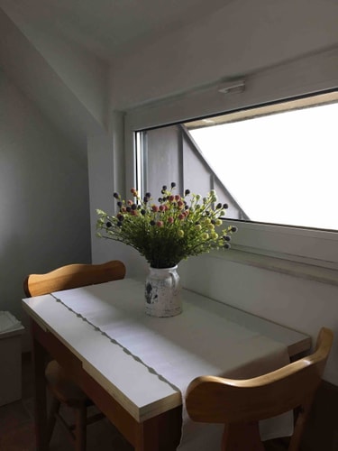 Tony's Sunny Rooftop Studio 24 Flat Manager Booking