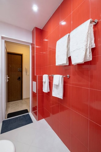 LZ Spacious One Bedroom Apartment in Top Centre 25 Flat Manager Booking