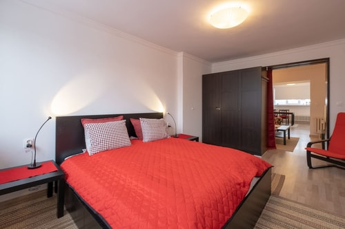 LZ Spacious One Bedroom Apartment in Top Centre 18 Flat Manager Booking