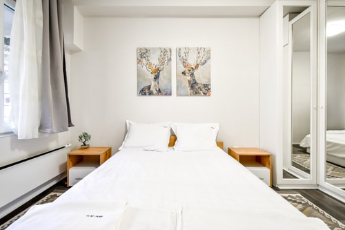 Urban Oasis with Patio 1BD 1 Flat Manager Booking