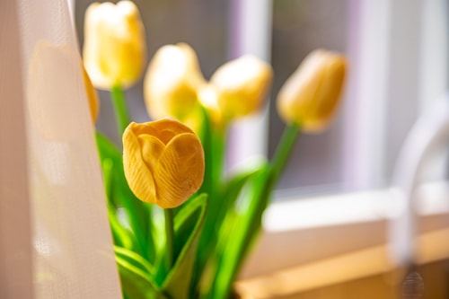Happy People Plovdiv 1-BD Apartment - White 40 Flat Manager Booking