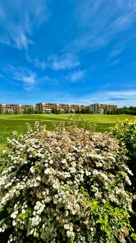 Boutique House Blue Lagoon 22 Flat Manager Booking