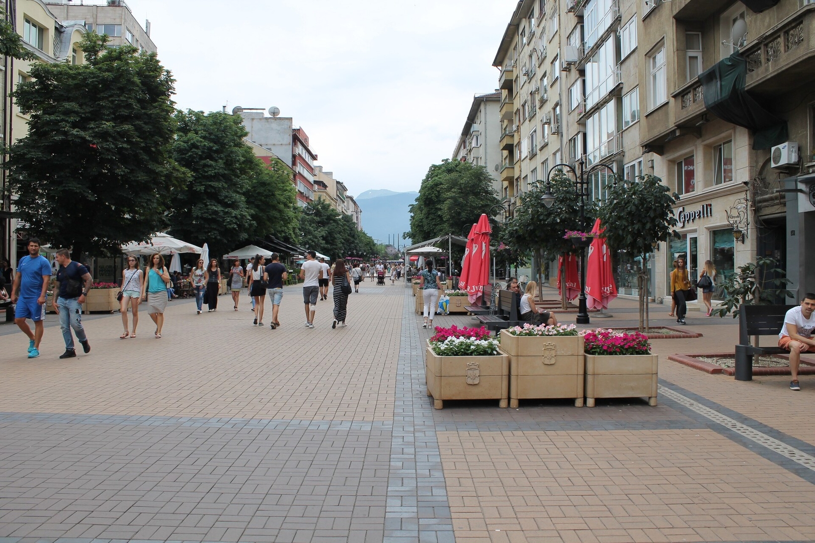 Unbeatable Location Comfy Central Apartment 24 Flat Manager Booking