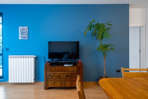 Alla Prima ~ 1BD Flat in Sofia Centre + Desk 1 Flat Manager Booking