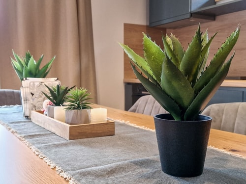 City Escape - 4 bedroom villa in Grand Therme 40 Flat Manager Booking