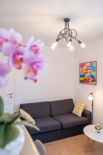 Iztok · Alex cozy apartment - 1 bedroom 15 Flat Manager Booking