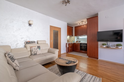 Spacious 1 bedroom apartment in a lively center 4 Flat Manager Booking