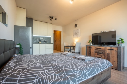Palitra Studio 20 Flat Manager Booking