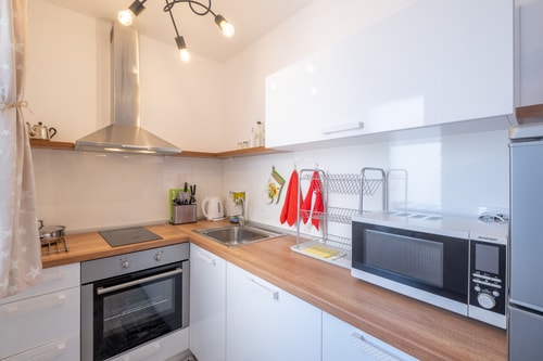 Iztok · Alex cozy apartment - 1 bedroom 2 Flat Manager Booking