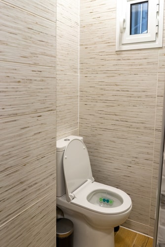 Sofia Space Nest 31 Flat Manager Booking