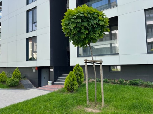 Gran Capital - Vodoley Rose Garden, FREE parking 4 Flat Manager Booking