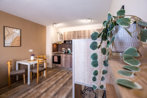 Cozy Homes 1 11 Flat Manager Booking