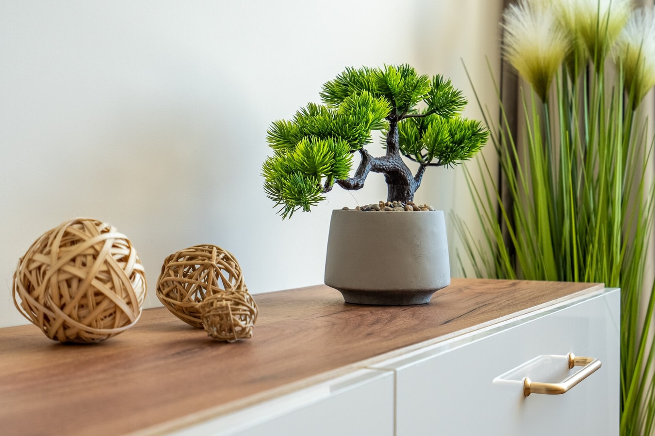 Golden Mountains 2 Flat Manager Booking