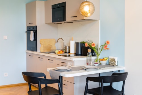 New Studio for a Great Price - no. 402 10 Apartamenty do wynajęcia