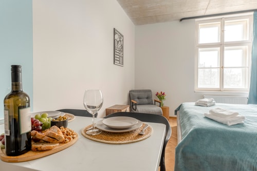 New Studio for a Great Price - no. 402 10 Apartamenty do wynajęcia