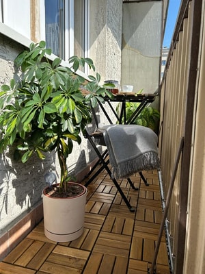 Sunny Warsaw City Centre Flat with Balcony and AC 19 Flataway