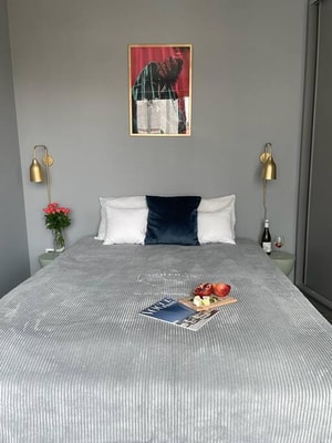 Old Town Oasis-Entire Building for 20+ Guests 6 Apartamenty do wynajęcia