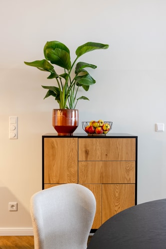 Minimalist & Mighty - 1 BR hosting up to 6 9 Apartamenty do wynajęcia