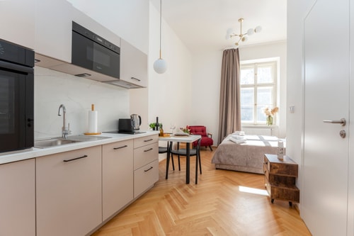 New Studio for a Great Price - no. 102 4 Apartamenty do wynajęcia