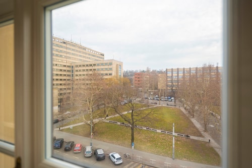 New Studio for a Great Price - no. 402 17 Apartamenty do wynajęcia