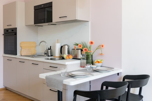 New Studio for a Great Price - no. 102 7 Apartamenty do wynajęcia