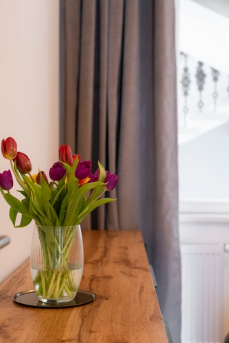New 1BR for a Great Price - no. 101 8 Apartamenty do wynajęcia