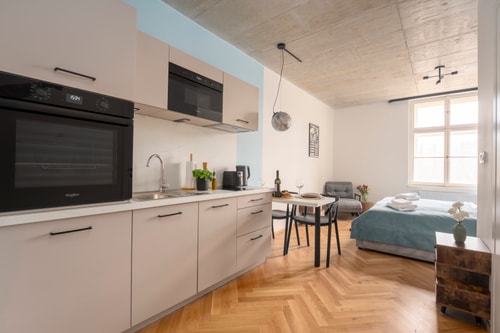 New Studio for a Great Price - no. 402 7 Apartamenty do wynajęcia