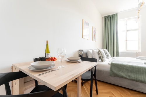 New Studio for a Great Price - no. 304 10 Apartamenty do wynajęcia