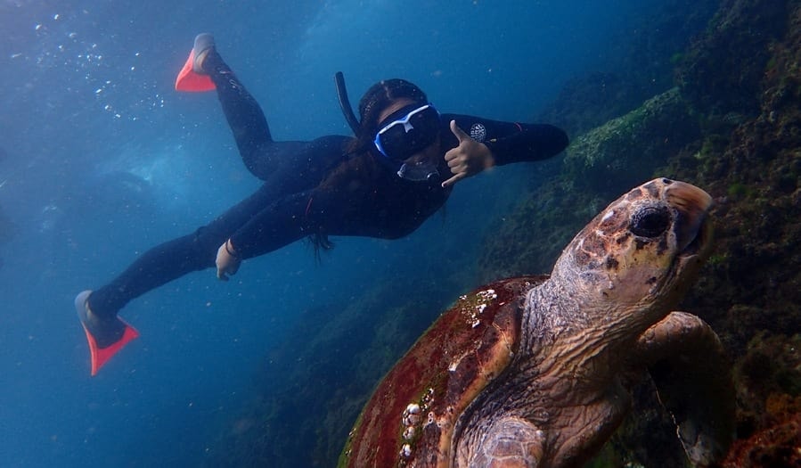 10 GOLD COAST WILDLIFE EXPERIENCES