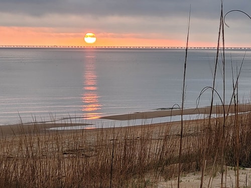 Beachfront Getaway | Dune House + Pets 30 Dwell
