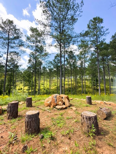 Cozy Mountain Cabin | Hot Tub & Fire Pit 36 Dwell