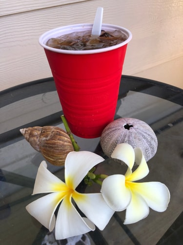 Ewa Beach Ohana Special 22 Dwell