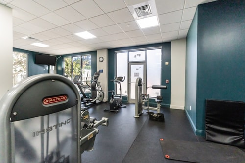 Oceanfront Penthouse with Pool & Beach Access 60 Dwell