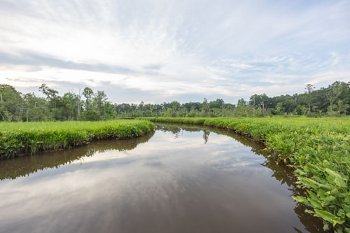VA Riverfront 4BR | Dock + Kayaks + Games 72 Dwell
