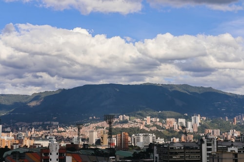 Chic Rosa Negra Aparta-Suite | Your Peaceful City Escape 30 Dwell