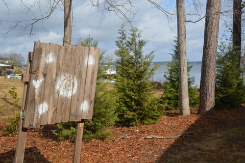 Lake Murray 5BR | Hot Tub + Outdoor Kitchen 17 Dwell