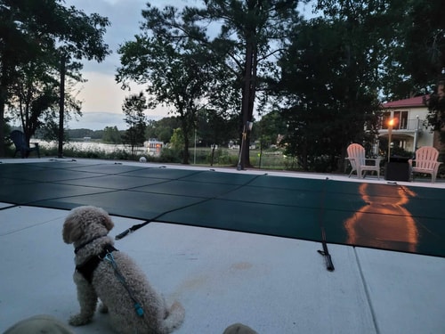 Newport News 4BR | Saltwater Pool & View 8 Dwell