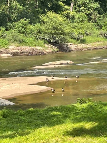 River Views + Huge Yard | Raleigh 3BR Retreat 43 Dwell