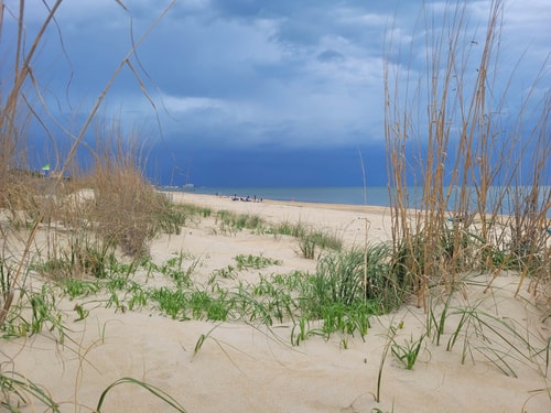 Beachfront Getaway | Dune House + Pets 22 Dwell