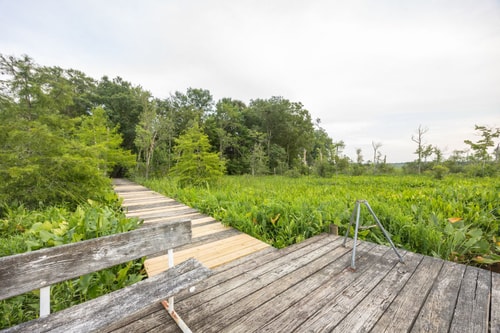 VA Riverfront 4BR | Dock + Kayaks + Games 65 Dwell