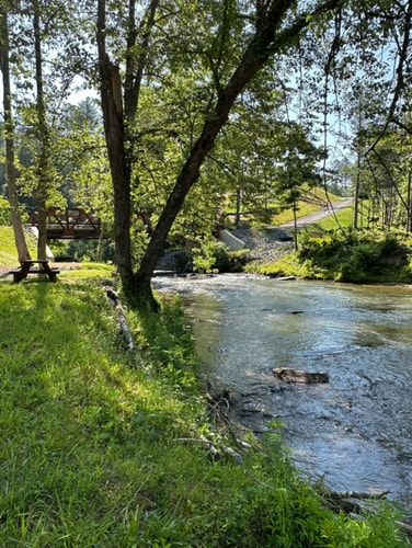 Cozy Mountain Cabin | Hot Tub & Fire Pit 35 Dwell