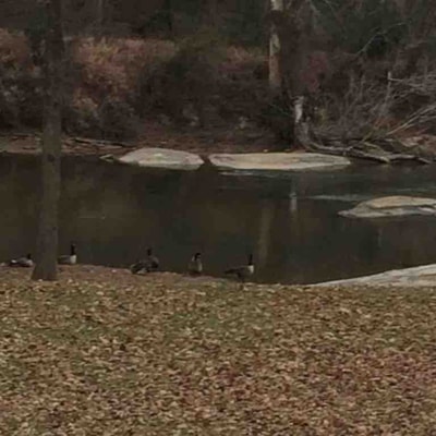 River Views + Huge Yard | Raleigh 3BR Retreat 21 Dwell