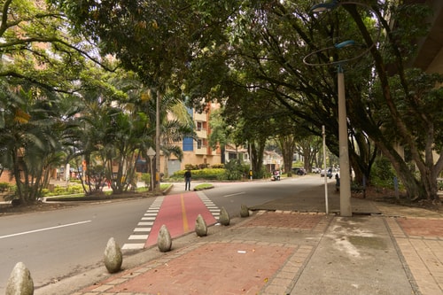 Stadio Haven | Rosa Negra Cozy Suite 34 Dwell