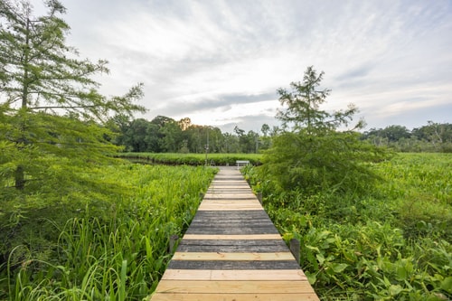 VA Riverfront 4BR | Dock + Kayaks + Games 64 Dwell