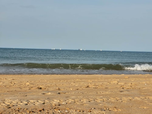 Beachfront Getaway | Dune House + Pets 31 Dwell